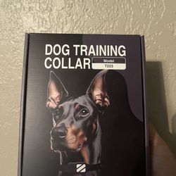 Dog Training Collar