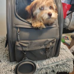 Charcoal Grey Pet Taxi