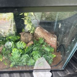 Reptile tank with accessories