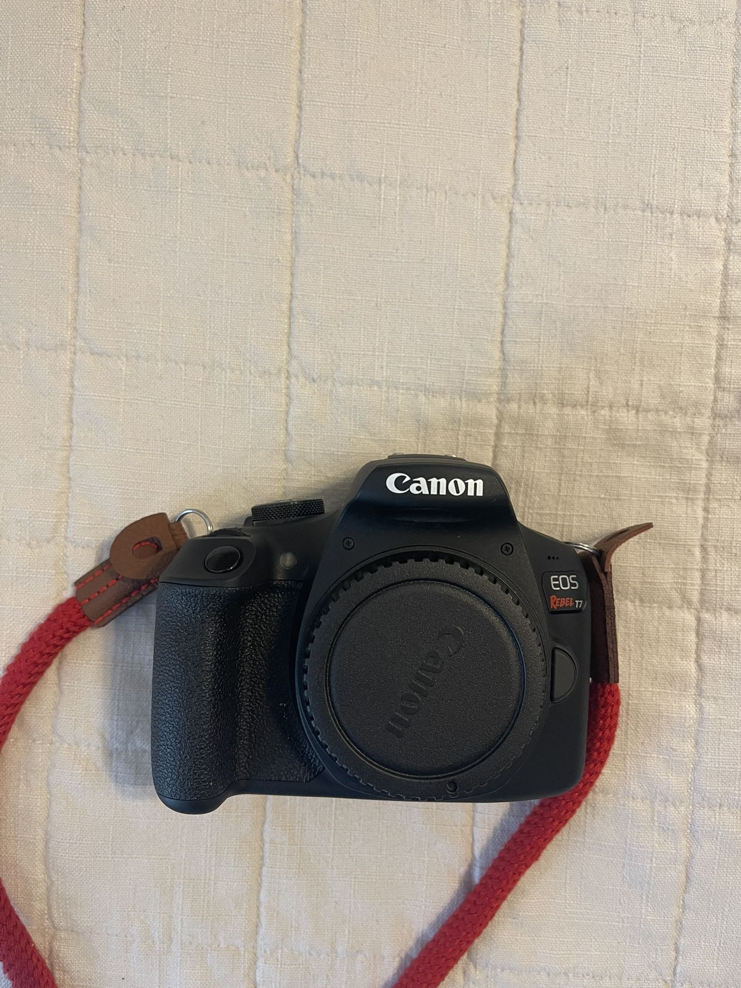 Canon Camera & Lenses