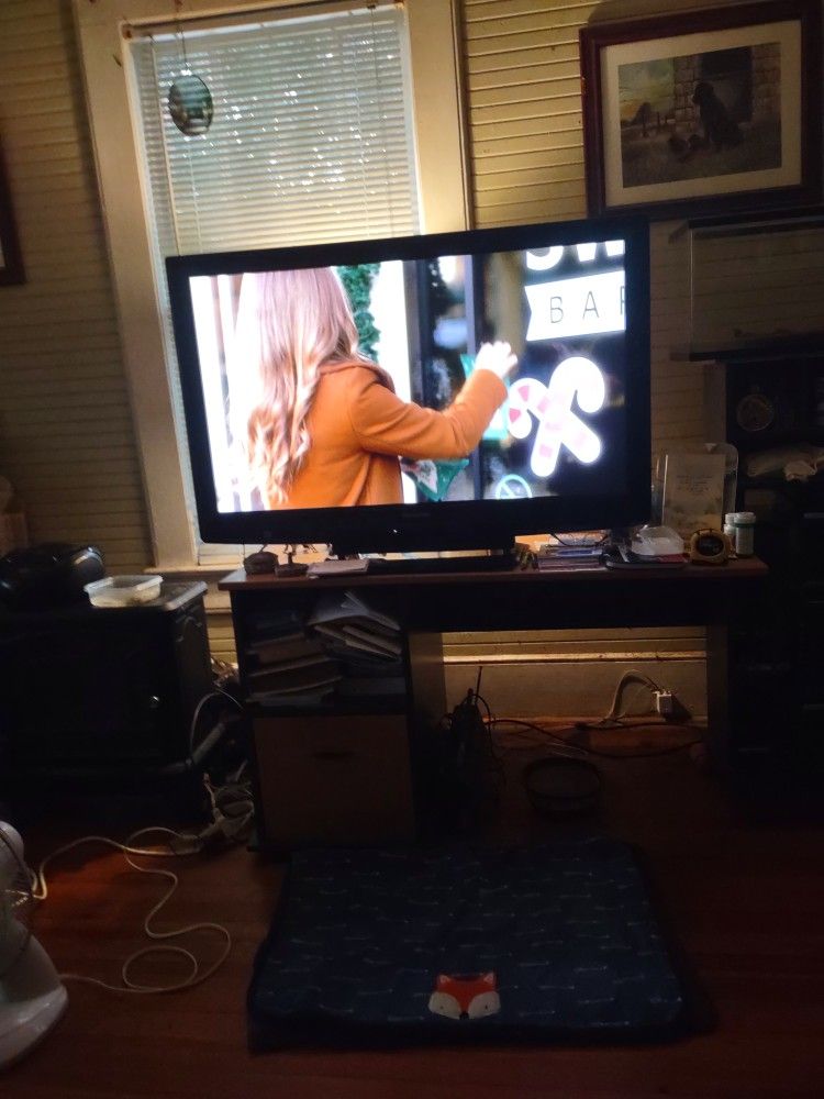 40 Inch Flat Screen Panasonic