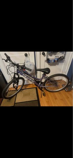 Huffy Mountain Bike Purple
