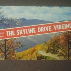 Skyline Drive Virginia Shenandoah National Park Mirro-Krome Vintage Collectible Postcard Post Card RPPC PC