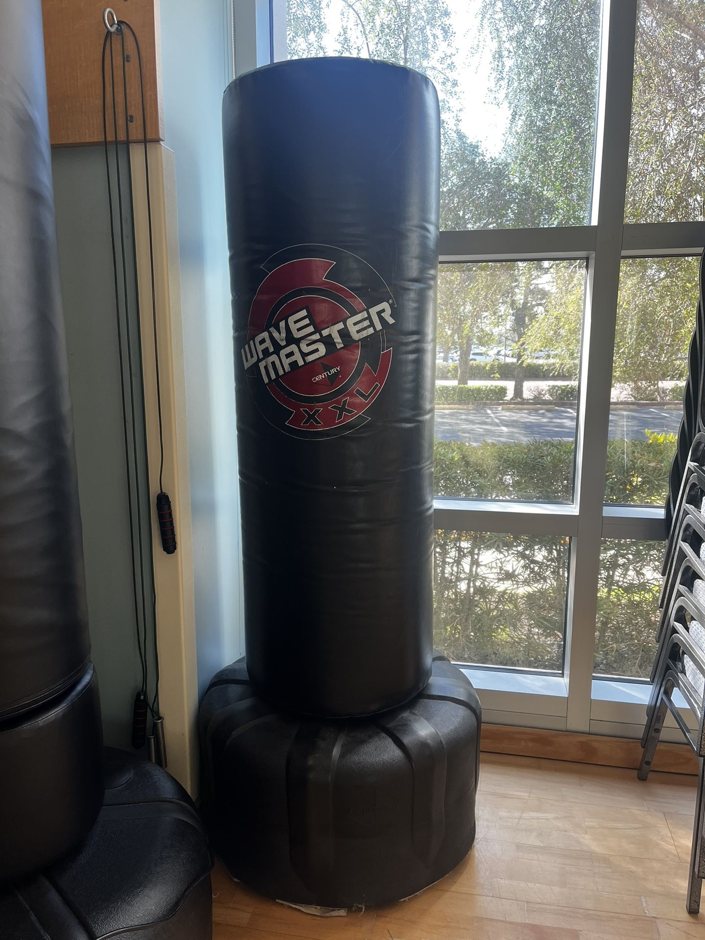 Standing Boxing/Punching Bag