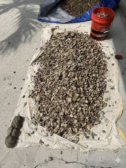 Free- stone garden rocks