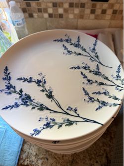 Wedding/bridal shower plates