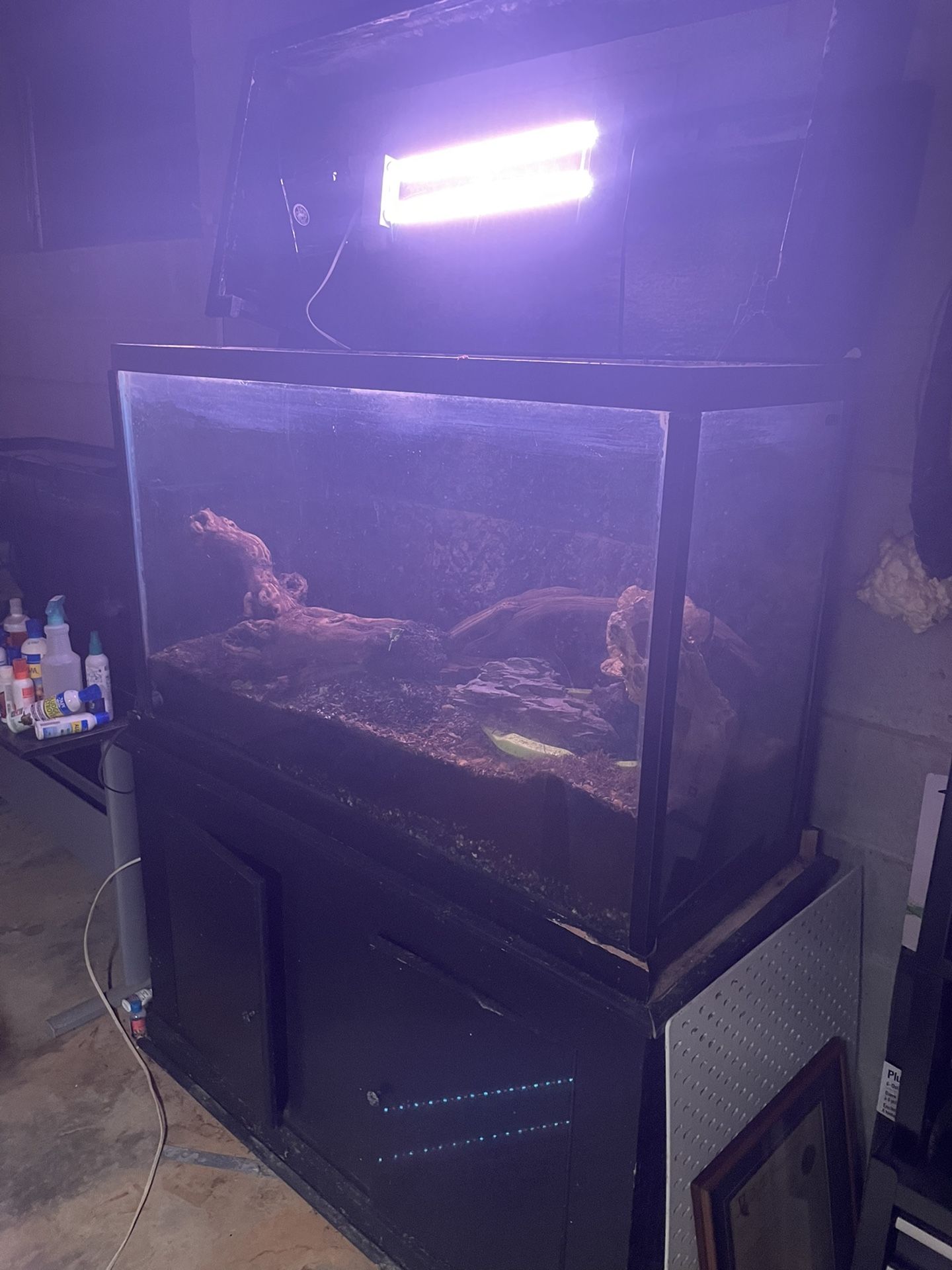 100 Gallon Fish Tank