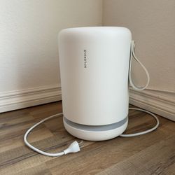 Molekule Air Mini Plus Air Purifier