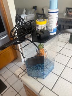 Fish tank