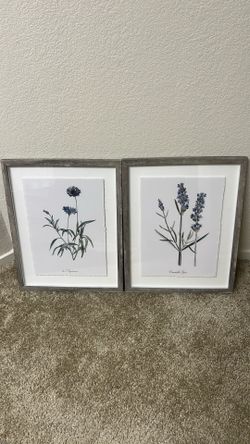 Art frames