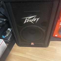 10 Inch Peavey Passive Speaker