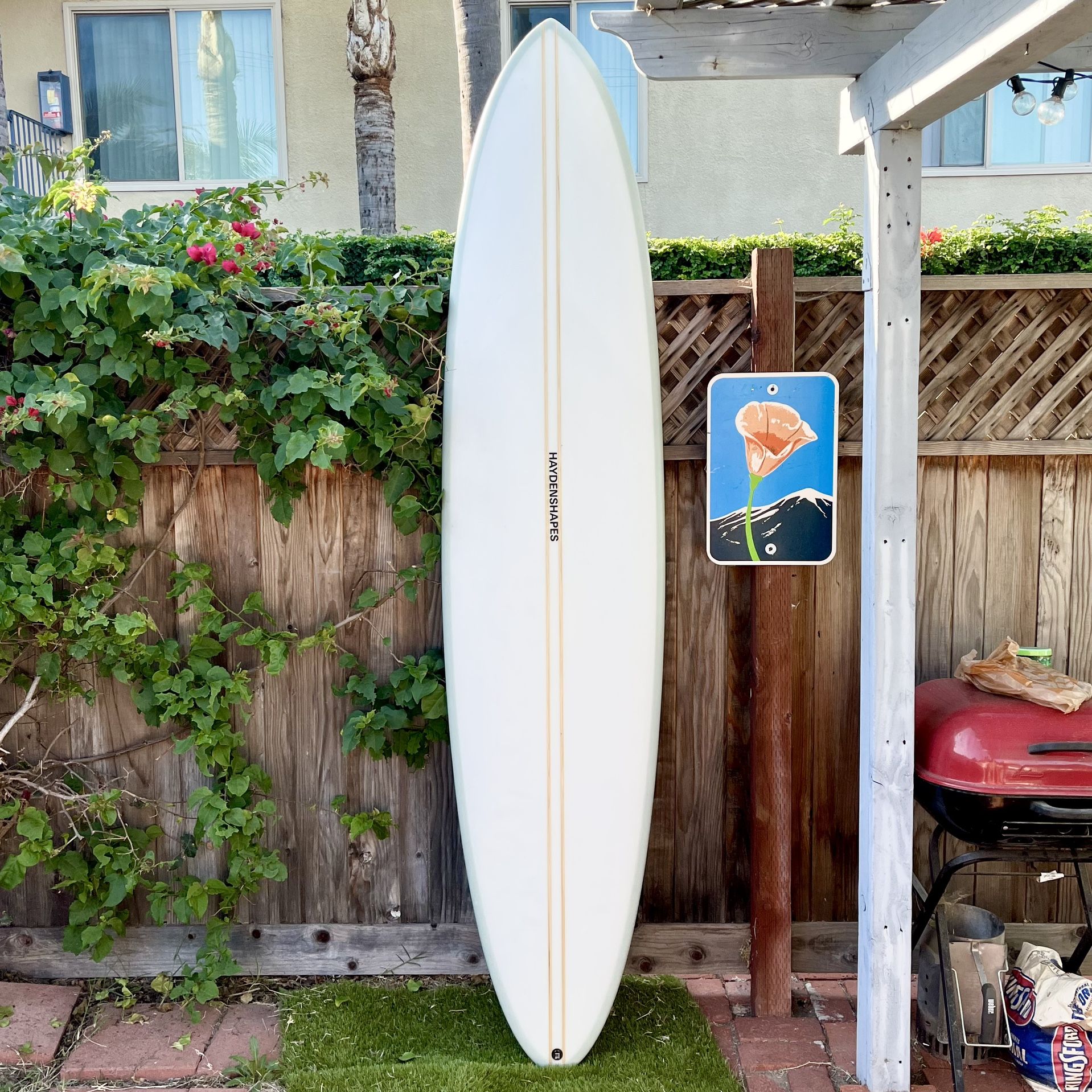 8’1 Haydenshapes Midlength Glider Surfboard Egg Longboard Mid Length (not Channel Islands Ci Mid Album Machado Sunday Bing G And S) 