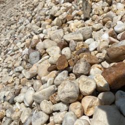 Medium (1” to 2”) White River Rock - $295 per yard