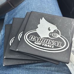 Webb City Coasters Set Of 4