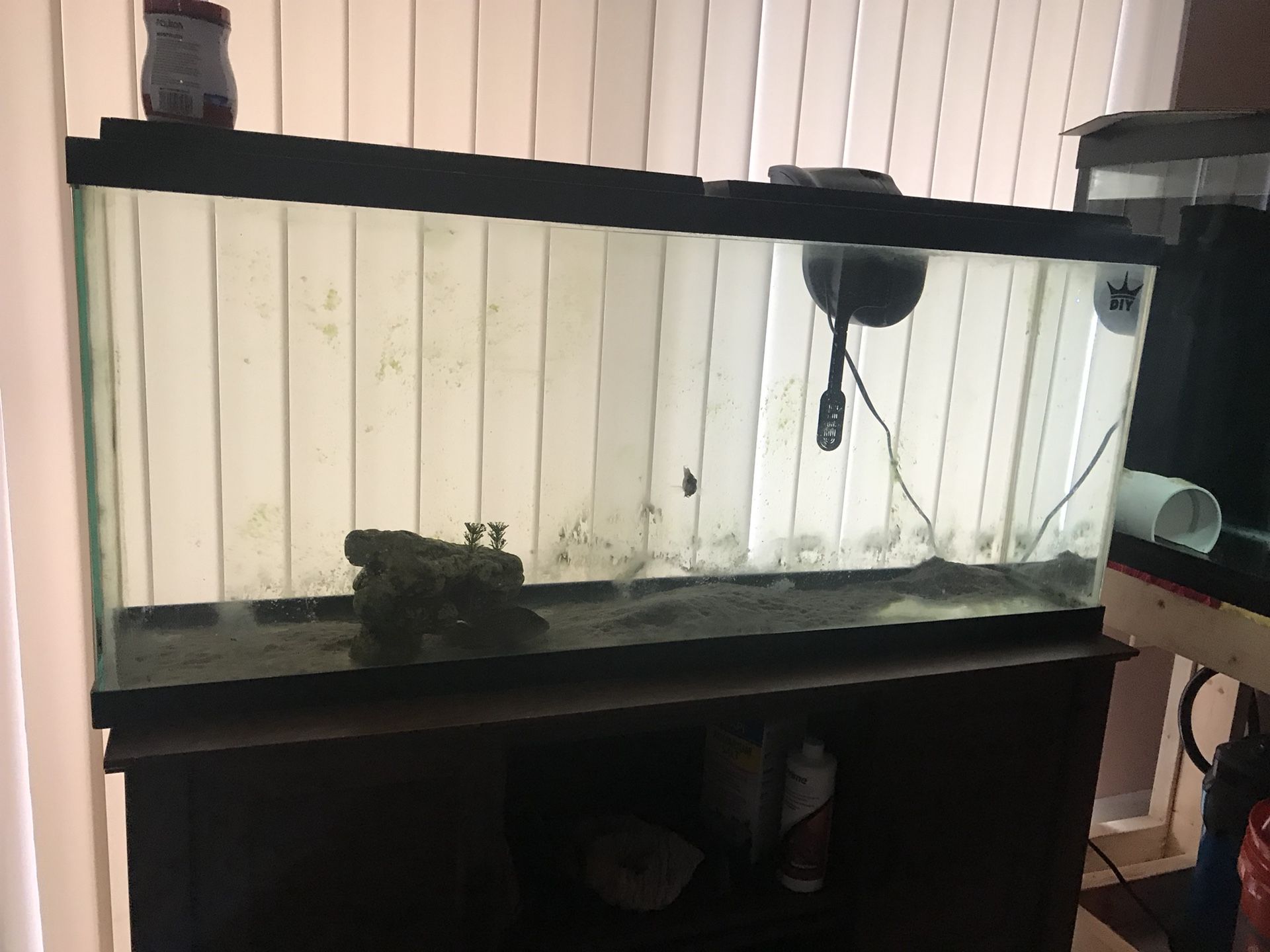 55 gallon fish tank