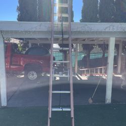 Werner 20ft Ladder 