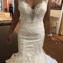 Bridal Gown / Wedding Dress 