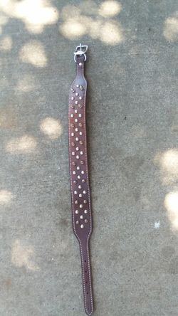 Spike Stud dog collar 25"