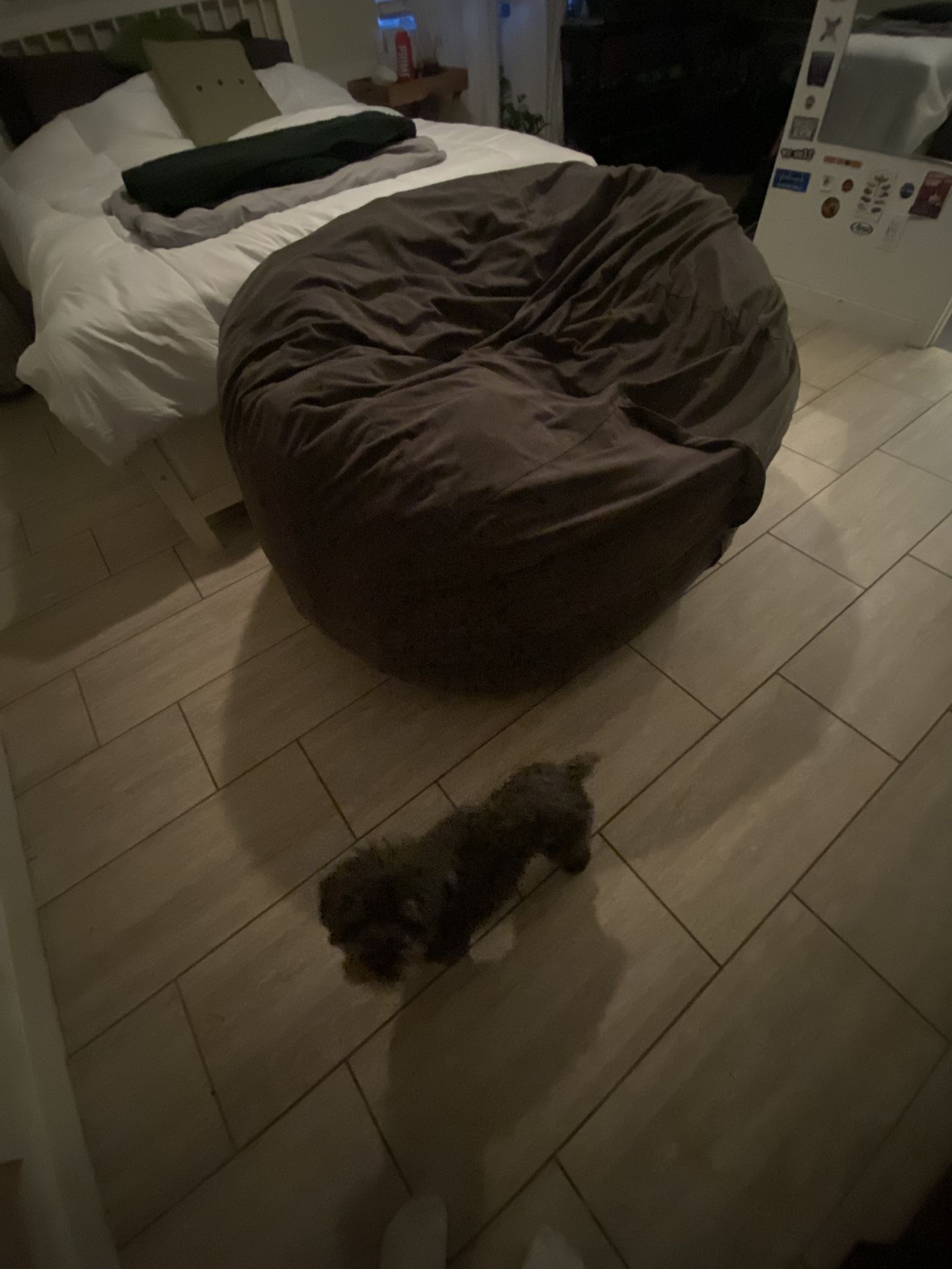 Large bean bag chair