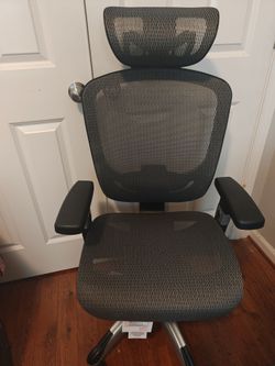 Staple Ergonomic Mesh Office Chair with Headrest