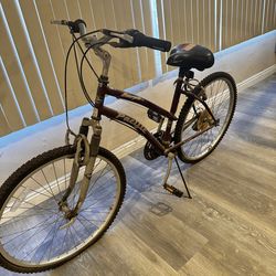 Pacific Scorpio CS 21-speed hybrid bicycle.