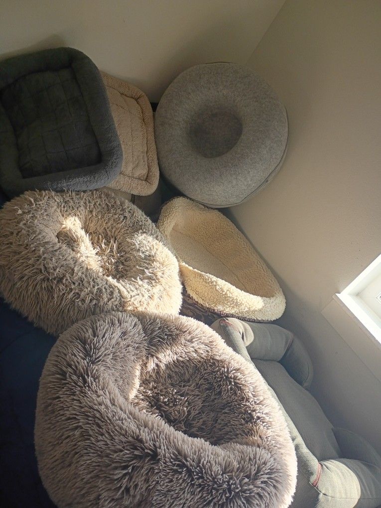 Cat and Dog Beds (Medium & Large)