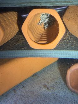 Aquarium accessories