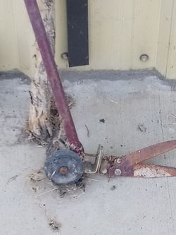 Old school Clippers edger