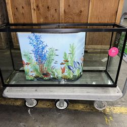 Glass Aquarium Tank