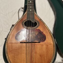 Flat Back Mandolin Label Missing 