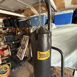 Everlast Boxing Bag