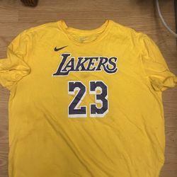 Nike Dri-Fit Mens Cotton Tee short sleeve NBA 23 James LAKERS 2XL