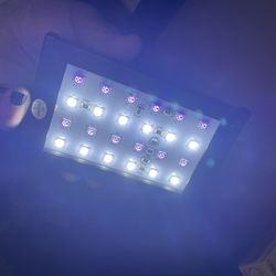 Led Light For Aquatic 