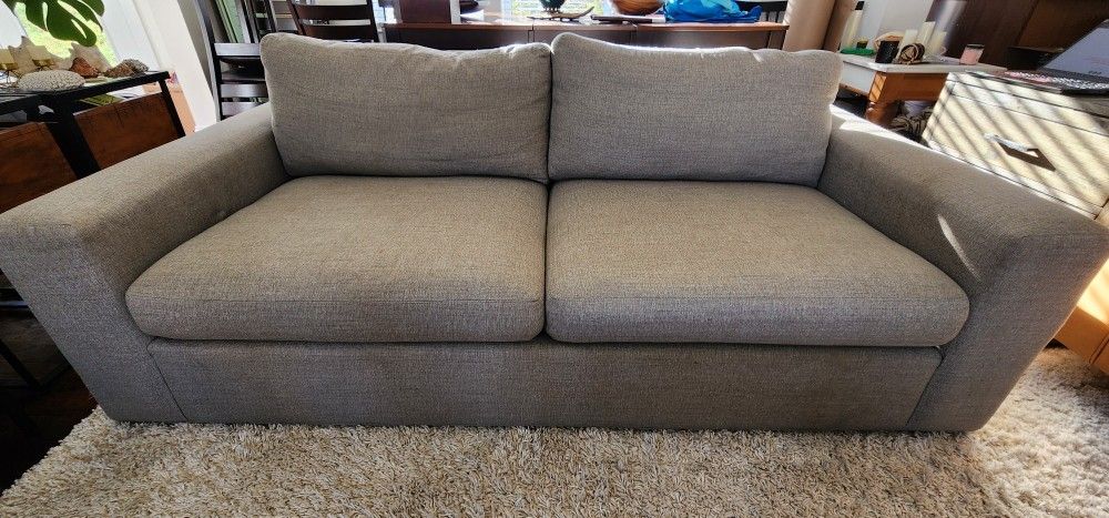 Gray Couch