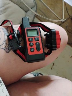 Dog Shock Collar With Remote