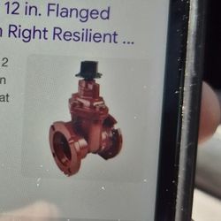 Gate Valve 12' 