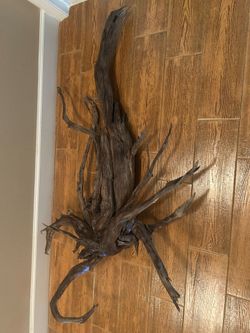 Treated Driftwood art piece