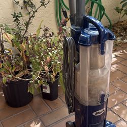 Shark Navigator Upright Vacuum Needs Cleaning