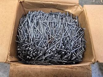 Duplex 50lb 2-5/8" Nails