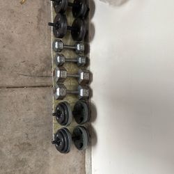 Hex Dumbbells & Adjustable Dumbbells Lot