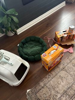 Cat Supplies Bundle – Litter Box, Bed, Food & More