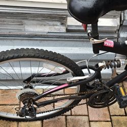 Men's Bicycle Next PX 6.0 Mountain Bike