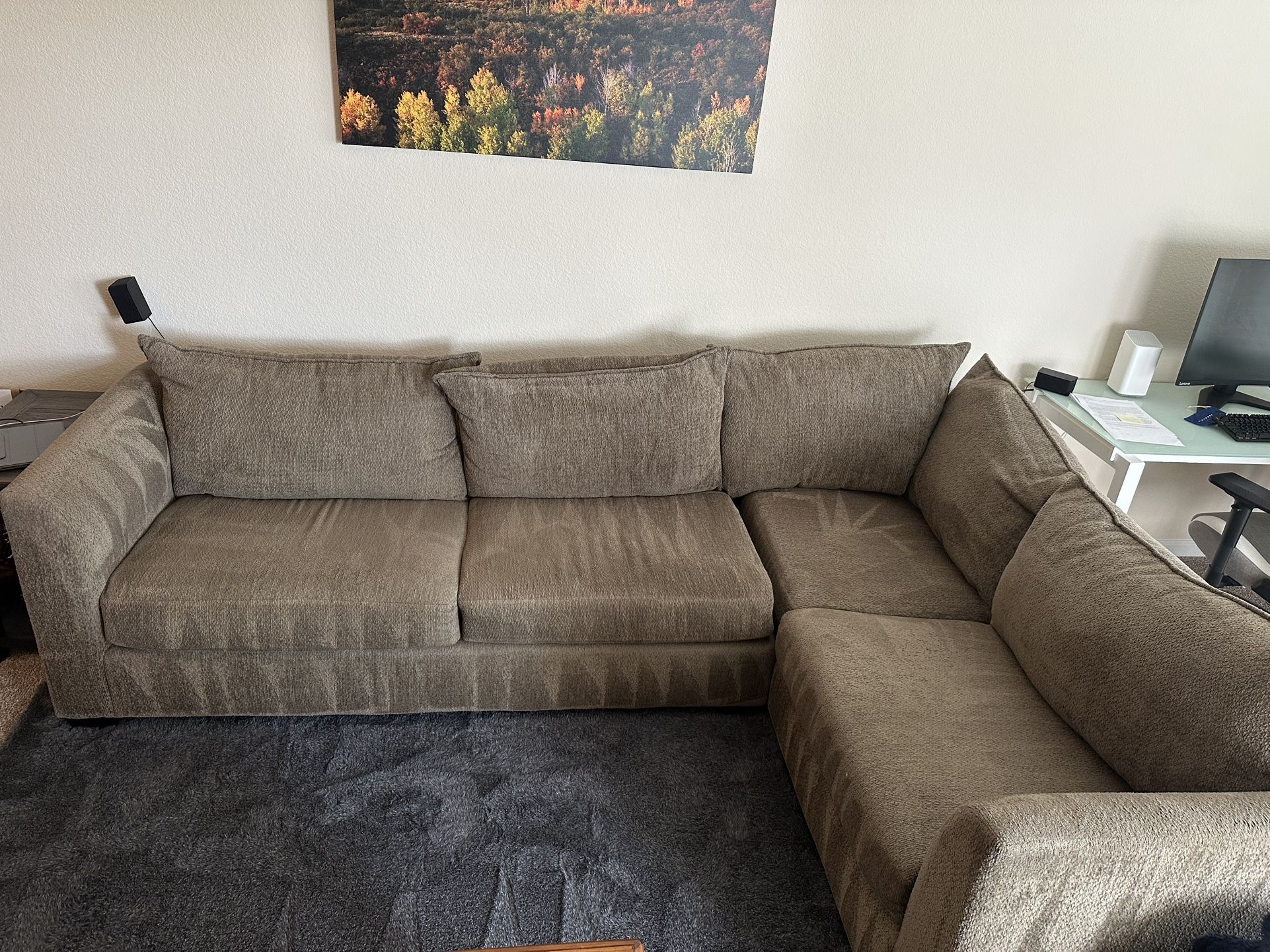 2 Piece Couch