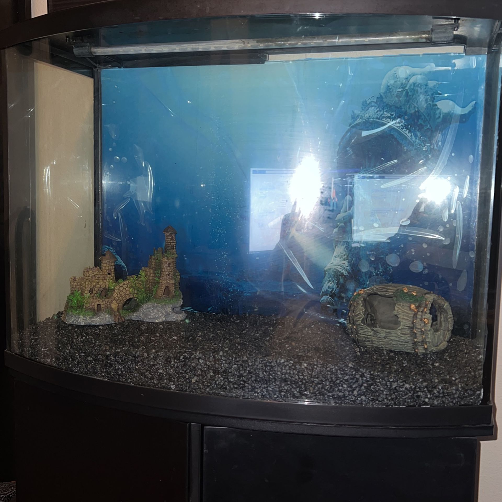 Fish Tank 50 Gallon With Everything 