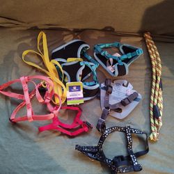 Dogs/Cats Harnesses