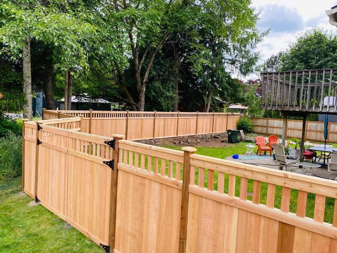 Cedar Fence