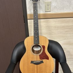 Taylor GS Mini