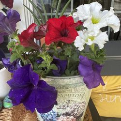 4th Of July Flower Pot 