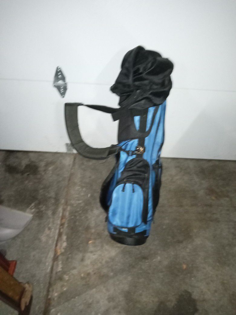 Golf Bag/ Wilson