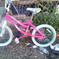  A Girls Bike For Free